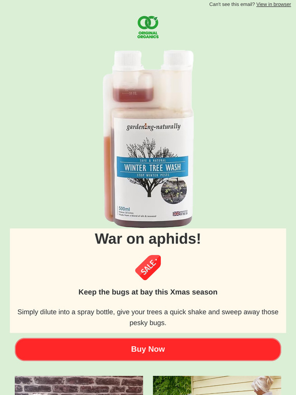 Save your Xmas tree from bugs!