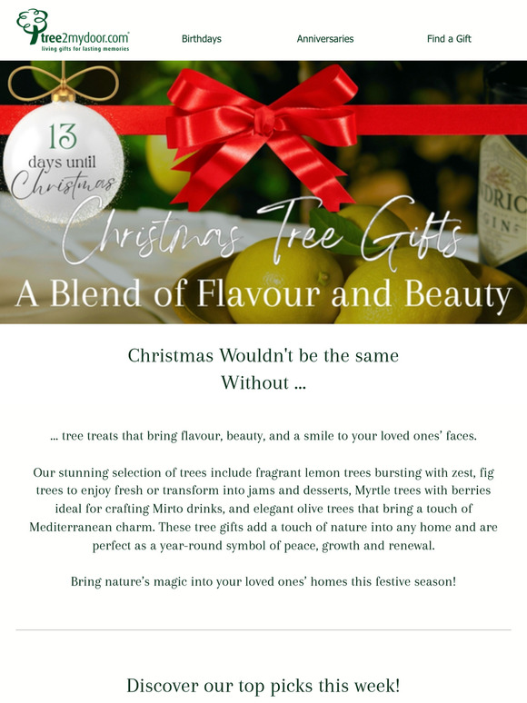 13 Days Until Christmas: Flavourful Tree Gifts! 🎄✨