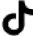 TikTok Icon
