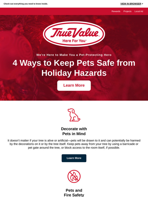 🐶 4 Ways to Keep Pets Safe from Holiday Hazards