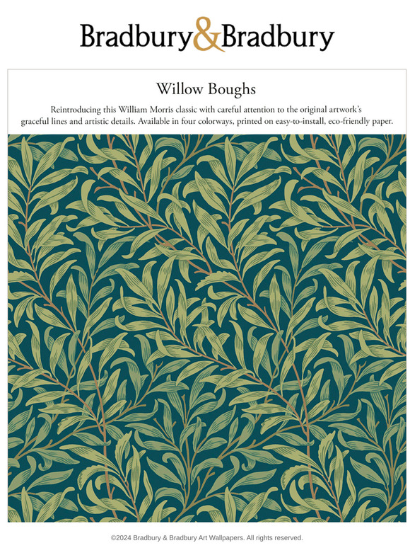Graceful Morris Willow Boughs