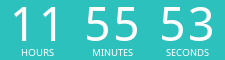 Countdown Timer