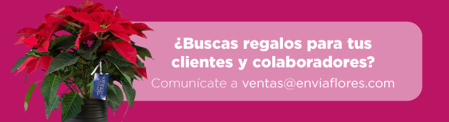 CORPORATIVO