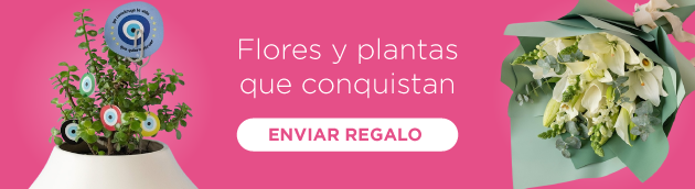 FLORES Y PLANTAS