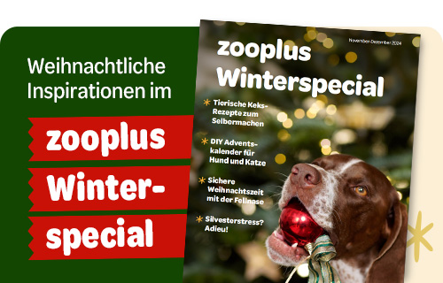 Weihnachtsbroschüre