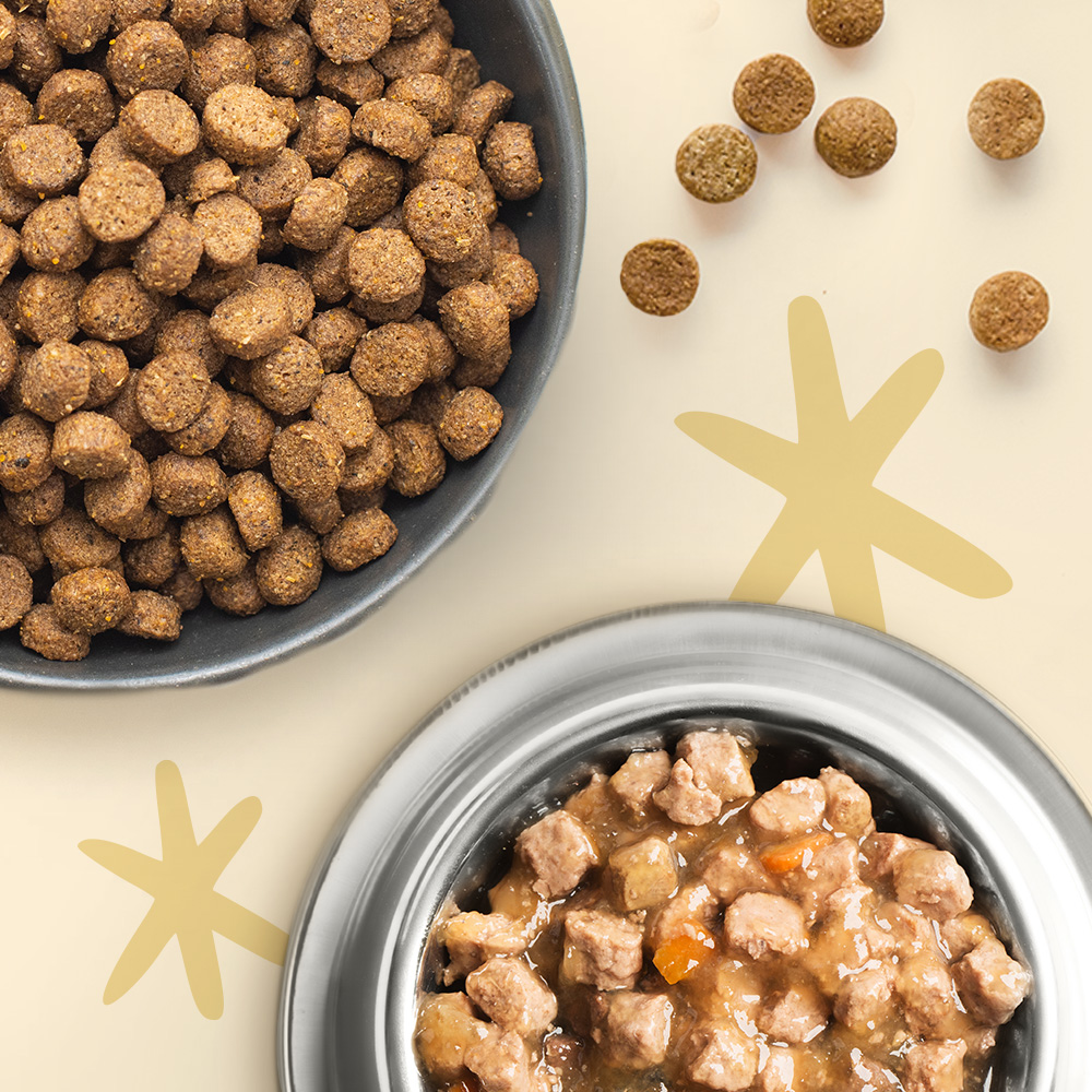 Futter & Snacks
