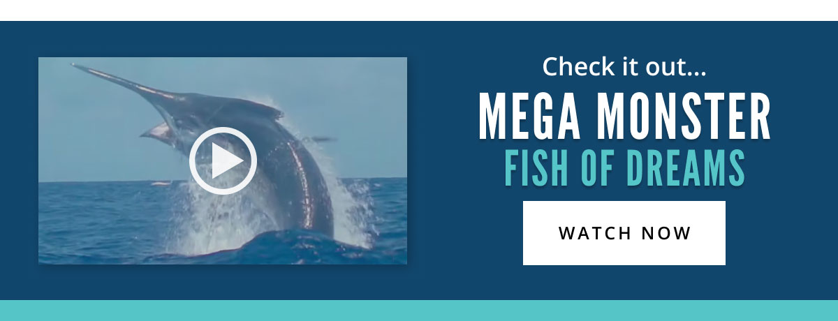 Saltwater 2025 Specialist Catalog