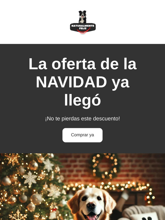 NAVIDAD con Descuento -20%