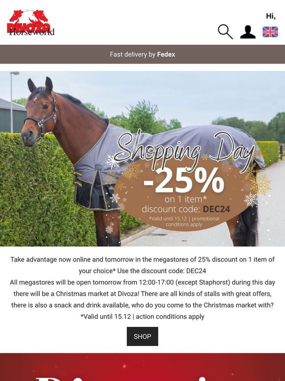 Divoza's Christmas Fair | -25% on 1 item* 🎉