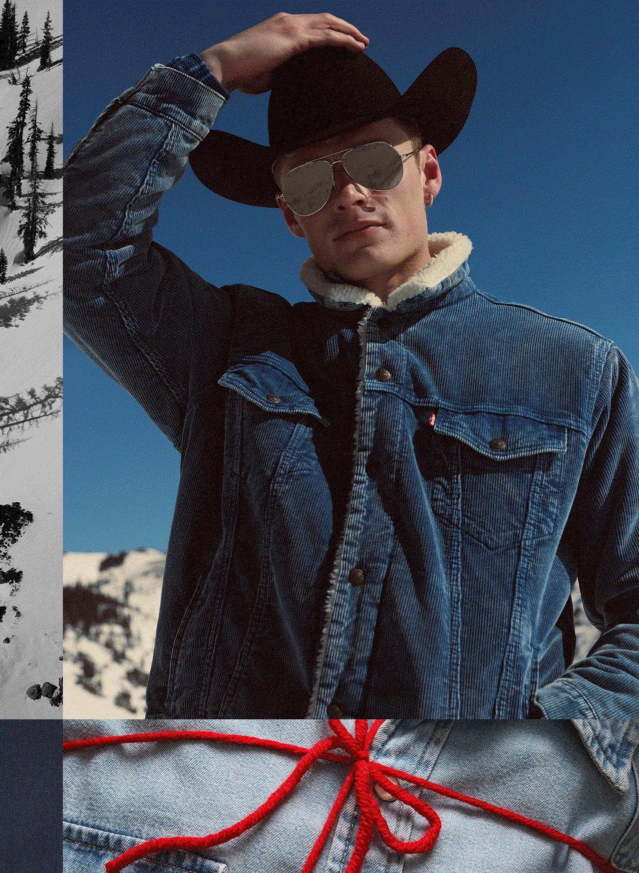 SHOP NOW
