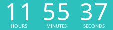 Countdown Timer