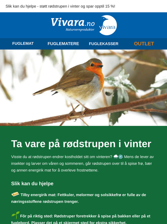 ❄️ Rødstrupen sliter i vinter