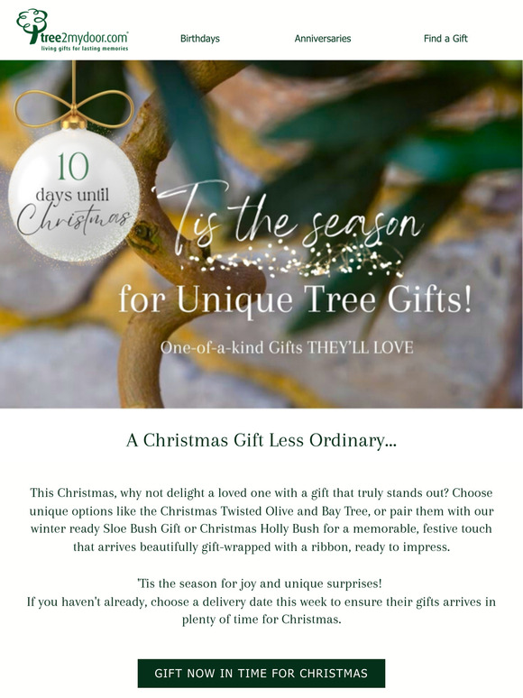 ❄️Discover Your Unique Christmas Tree Gifts Guide!🎄