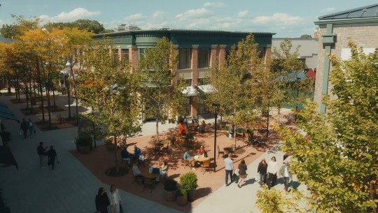 An elevated view of an leafy outdoor shopping area