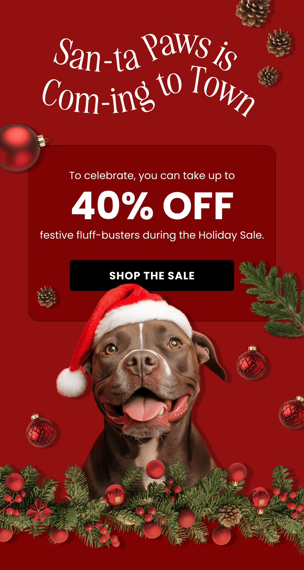 San-ta Paws is Com-ing to Town [SHOP THE SALE]