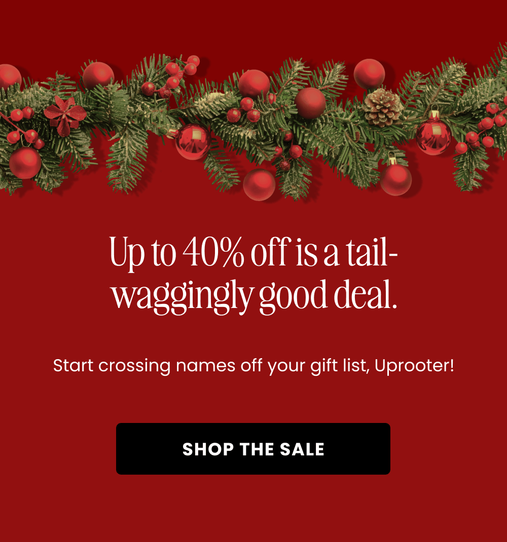 [SHOP THE SALE]