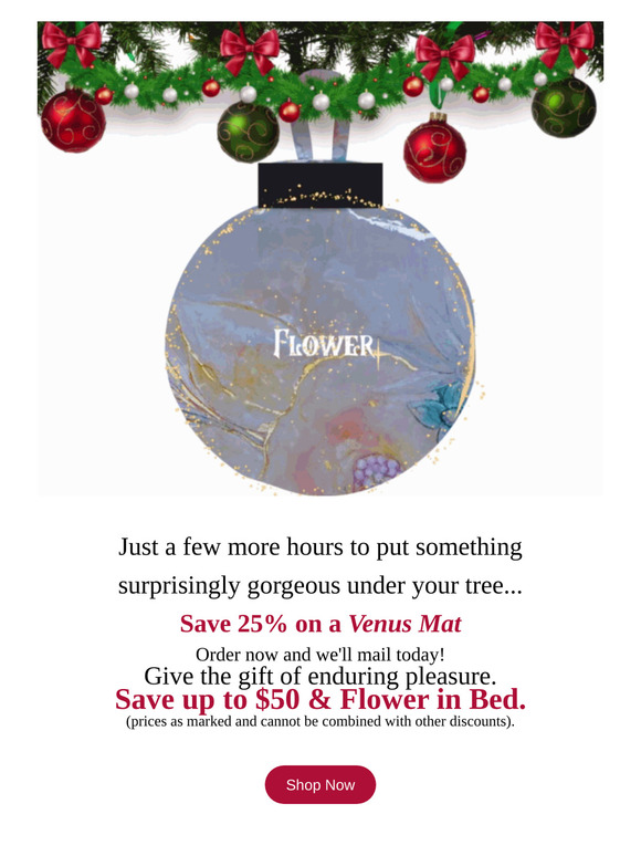 A few more hours to flower under the tree, Friend!