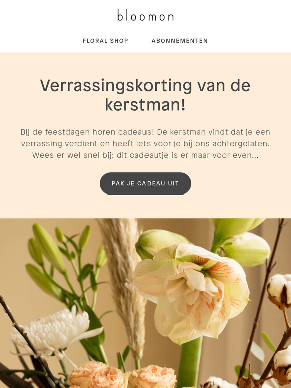 Pak snel je kerstcadeautje uit!