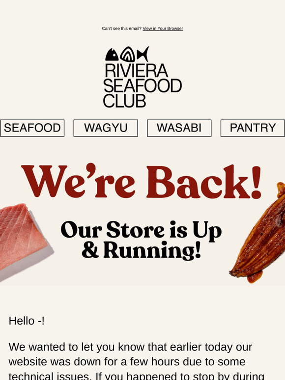 Hi —! We’re Back! Our Store is Up and Running