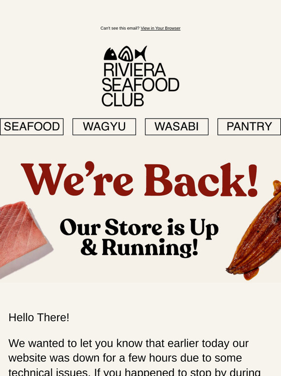 Hi There! We’re Back! Our Store is Up and Running
