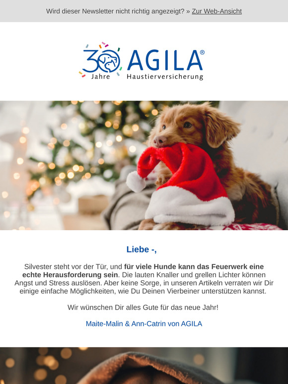 ➔ Angst vor Silvester?🐕🎊