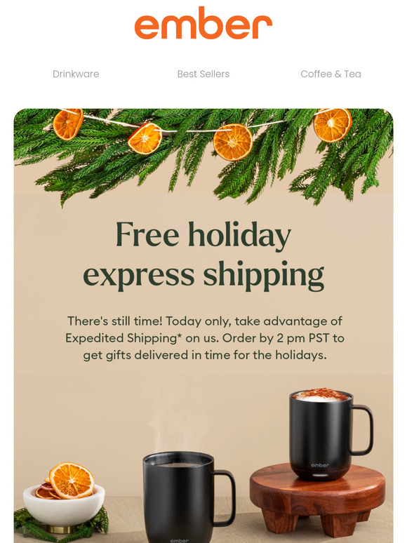 Today Only! Free Expedited Shipping