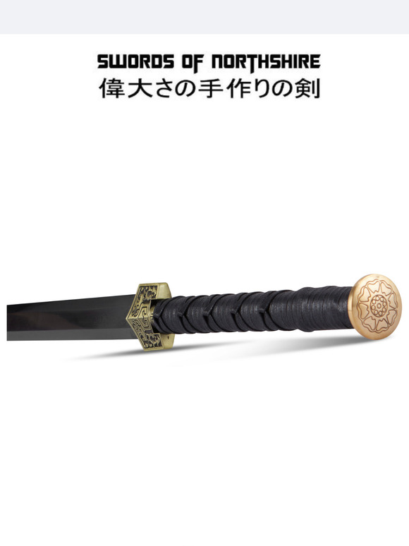 ICYMI: Save $60 on the Legendary Black Edition Meteor Sword ⚔️