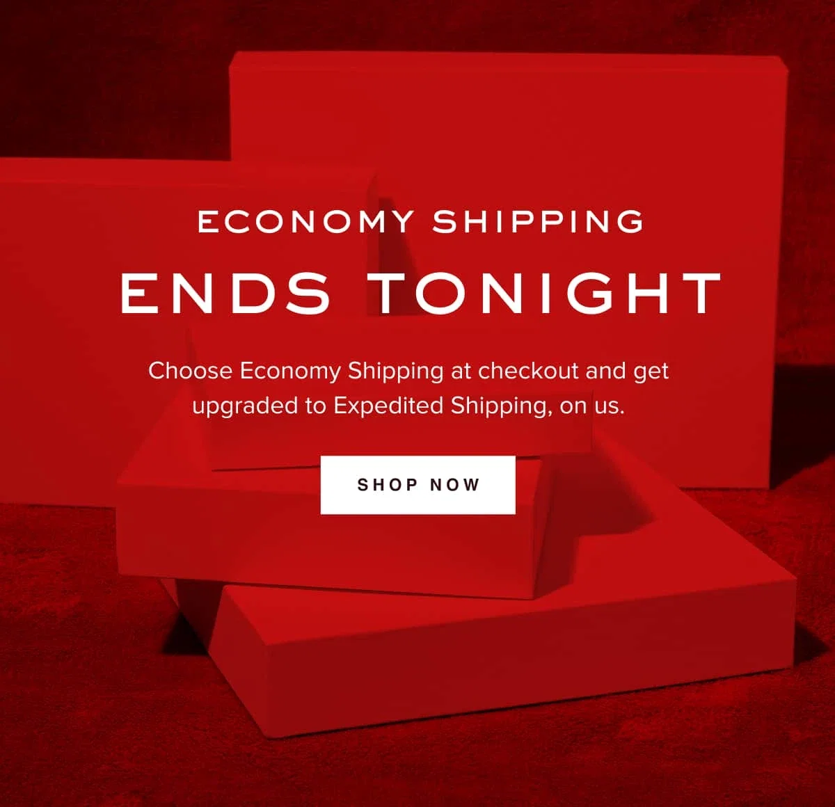 Economy Shipping Ends Tonight: Choose Economy Shipping at checkout and get upgraded to Expedited Shipping, on us.