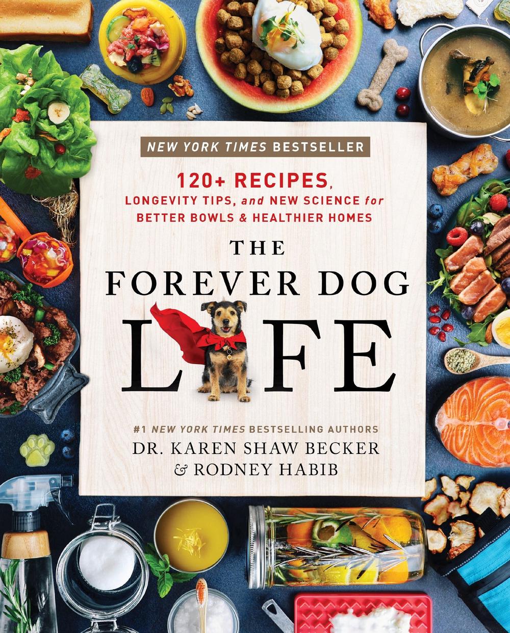 Image of The Forever Dog Life
