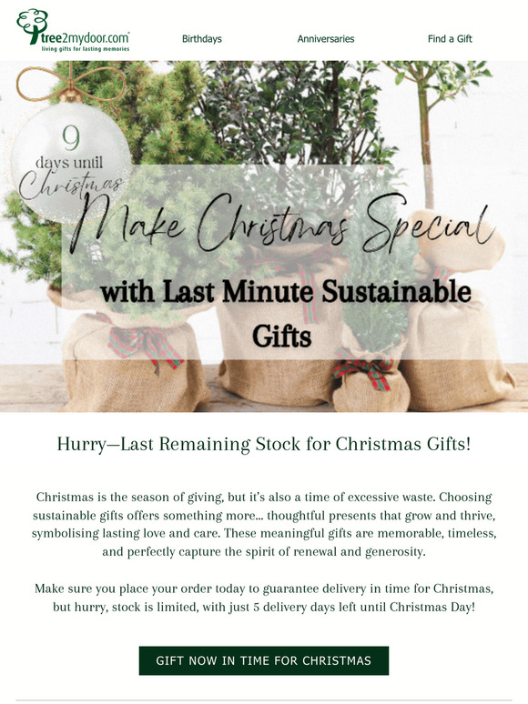 Sustainable Last-Minute Christmas Gifts.. Just in Time 🎁🎄
