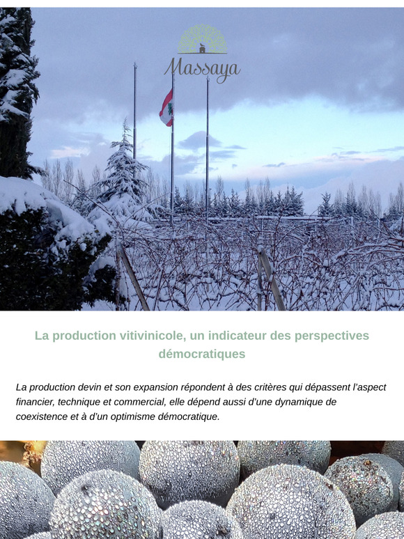 Le vin, la coexistence & la paix au Liban
