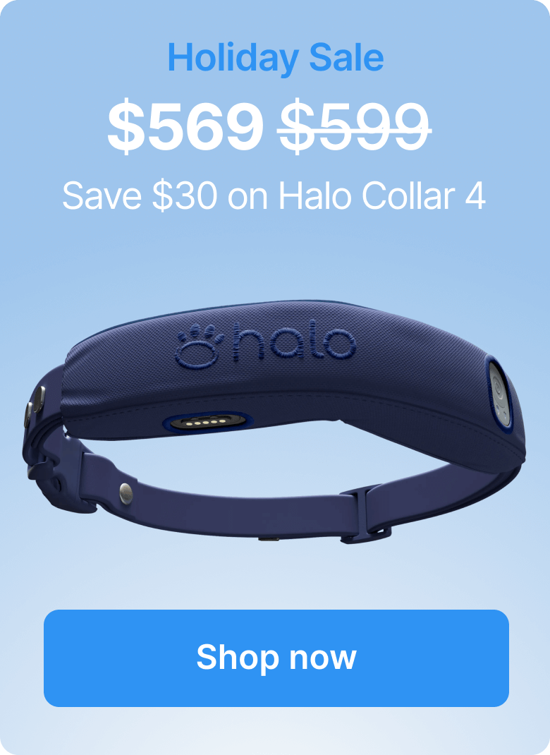 Winter adventures are better with peace of mind. Protect your dog with the Halo Collar 4 and save $30 today. Order now to receive by the Holidays!