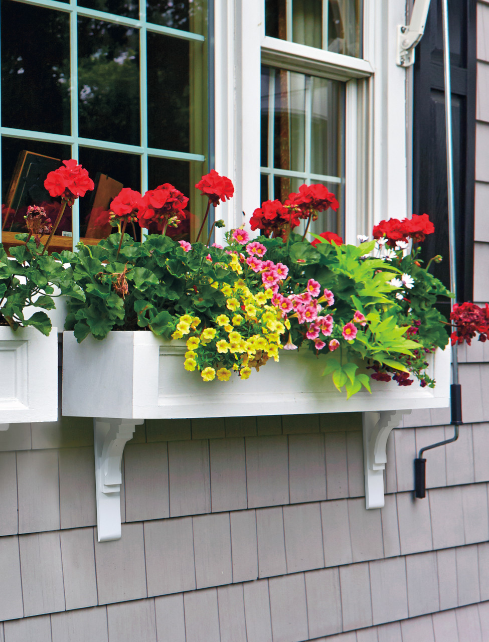 Image of Paneled Window Box