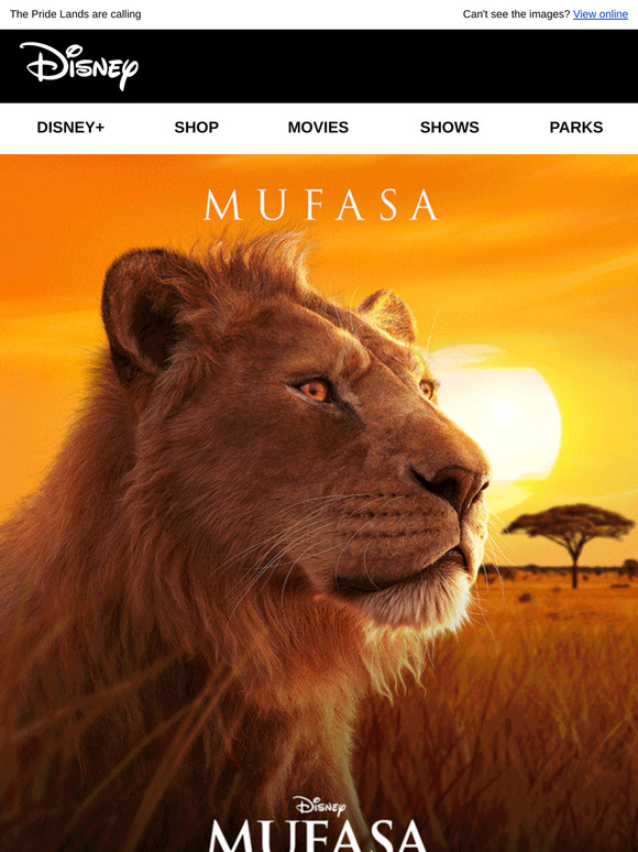 Mufasa: The Lion King, in cinemas now 🦁