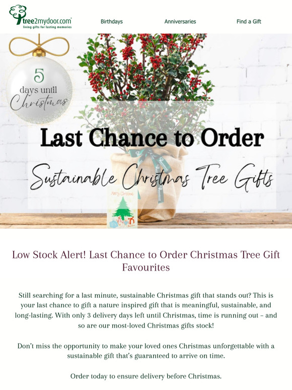 ⏰ Low Stock Alert – Last Minute Sustainable Christmas Gifts 🌲