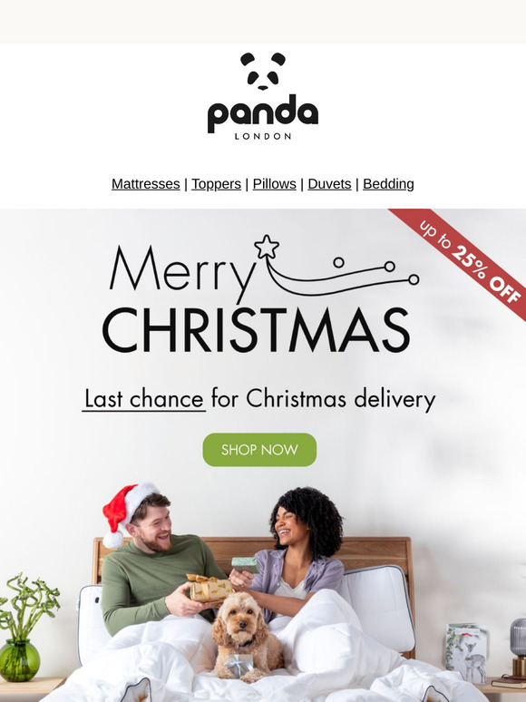 Last chance for Christmas delivery!