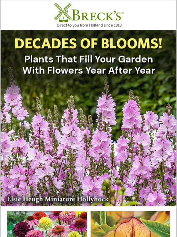 Breck's Mega Savings on Blooms That Return Every Year Milled