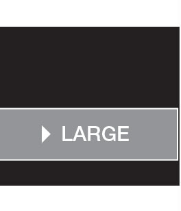 LARGE
