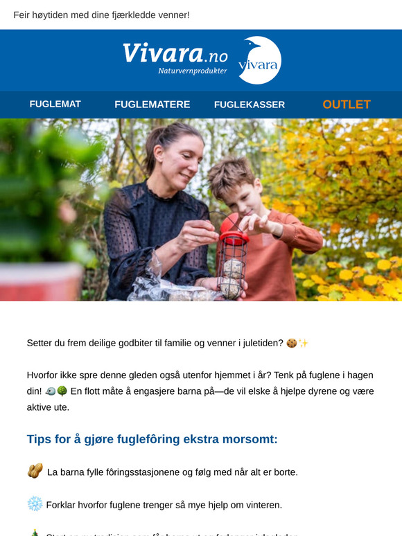🎄 En julefest for fuglene