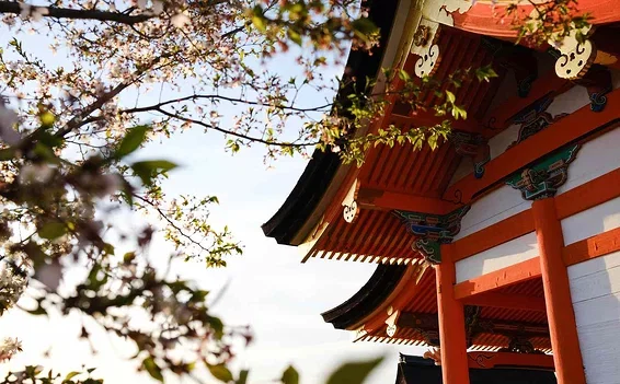 These Are the Cheapest Times to Fly to Japan — Plus, Tips for Exploring on a Budget