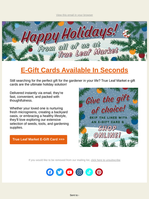 🎄 Last Minute Gifts? E-Gift Cards Available In Seconds! | TLM Email