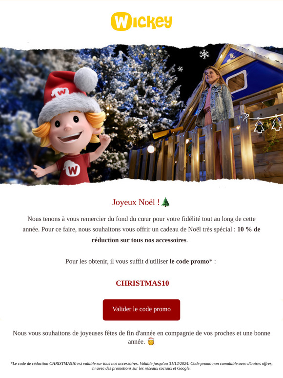 Joyeux Noël -10% sur les accessoires !🌲