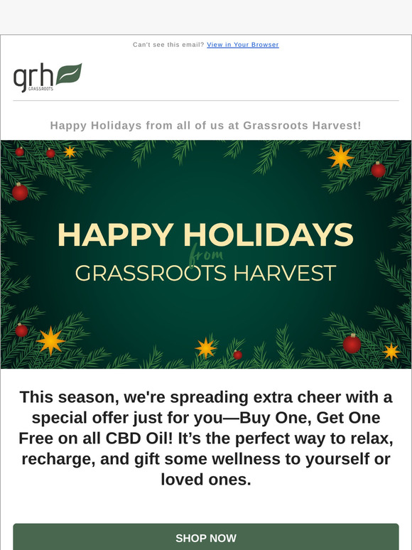 Happy Holidays + Special BOGO Offer!