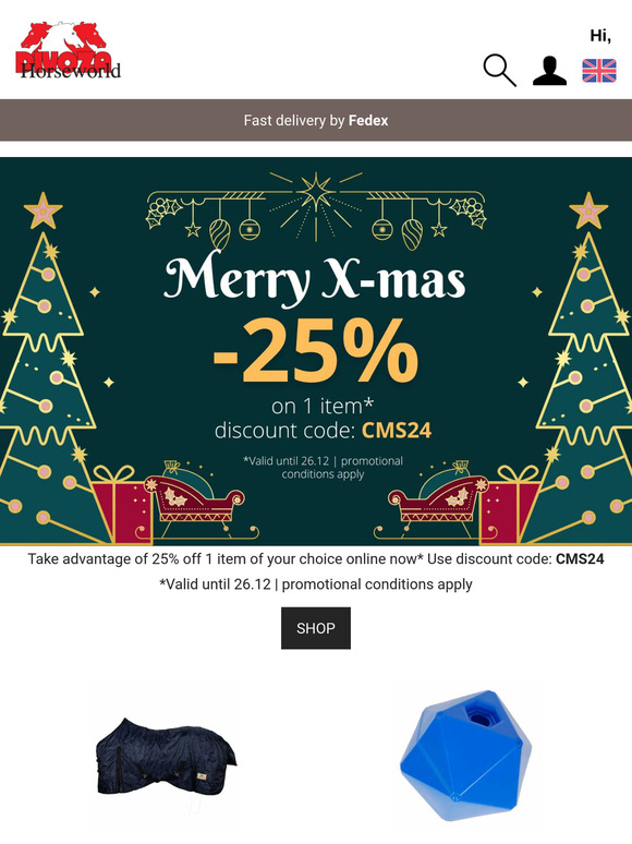 Merry X-mas | -25% on 1 item* 🎉
