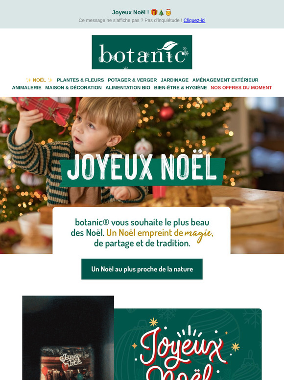 Joyeux Noël ! 🎁🎄