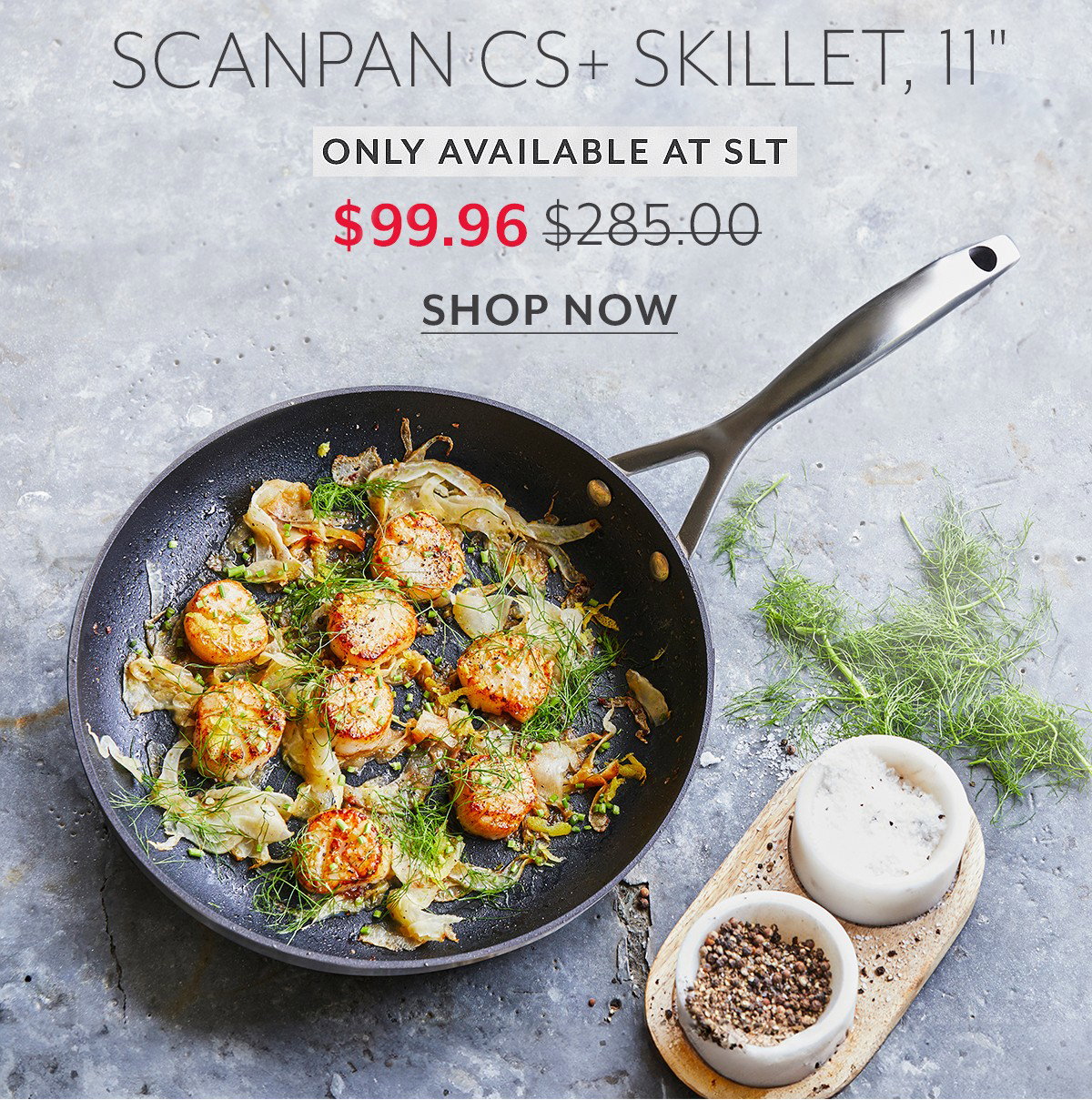 Last-Chance Scanpan CS+ Skillet