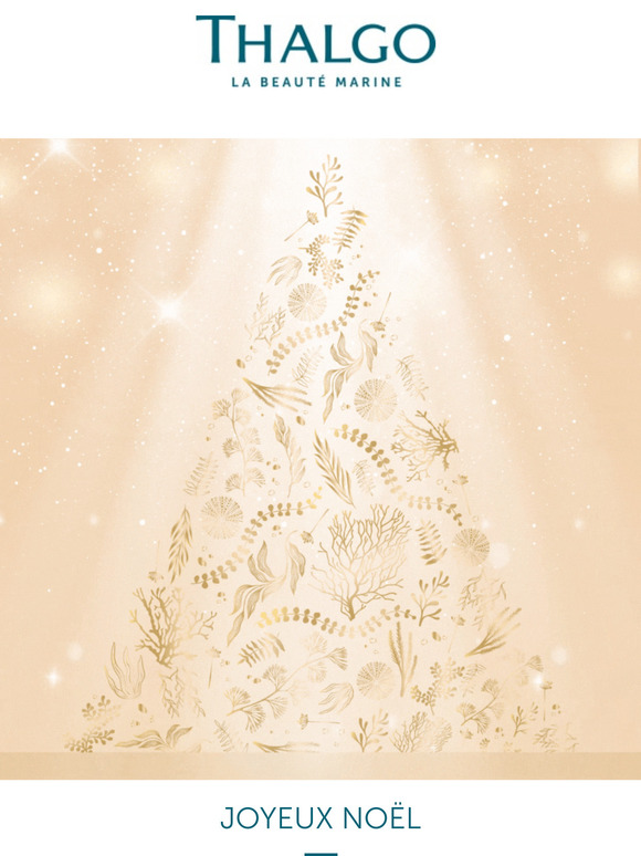 Joyeux Noël ✨