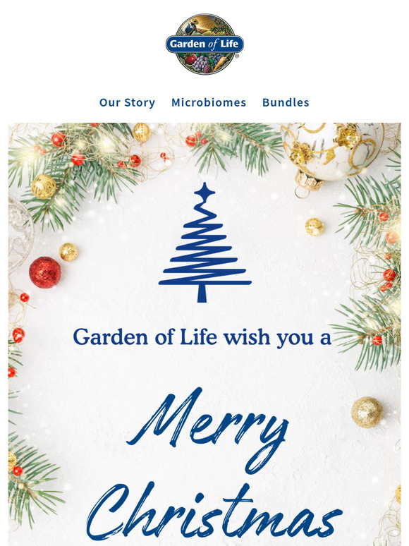 🎄 Merry Christmas