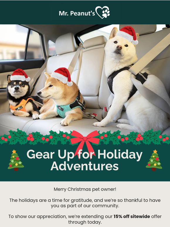 Merry Christmas! Unwrap Your Exclusive Gift 🎁