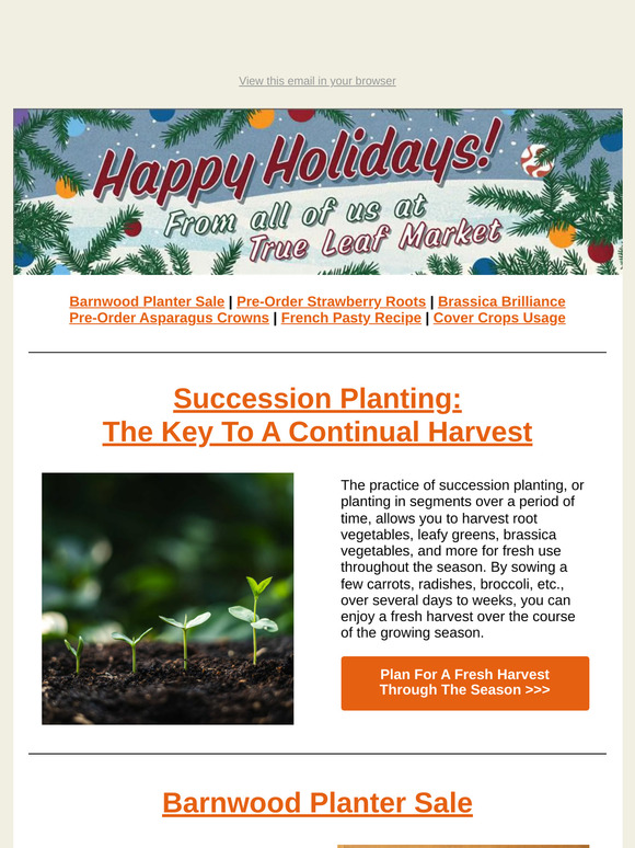 🌱 Succession Planting Tips + Barnwood Planter Sale Inside! | TLM Newsletter